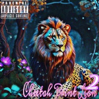 Runtz - Single - OG Lion