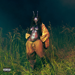 SOS Deluxe: LANA - SZA Cover Art