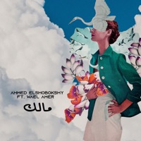 مالك (feat. Wael Amer) - Single - Ahmed Elshobokshy