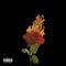 Ashes to Amber - ZEPHYRR lyrics