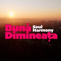 Buna Dimineata