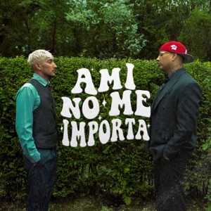Ami No Me Importa