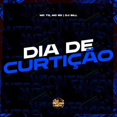 Dia de Curtição - Single