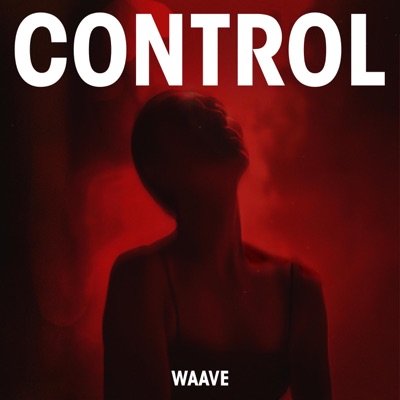 Control (Extended) - Single