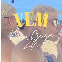 Vem (feat. DJ MOLINA OFC) - Single - MC Giga ZN