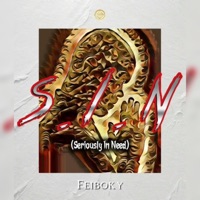 S.I.N (Seriously In Need) - Single - Feiboky