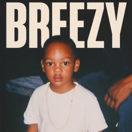 Put in Work (feat. Ravy) YBG Breezy