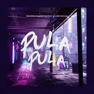 Pula Pula (feat. DJ João Marconex & Mc Lr)