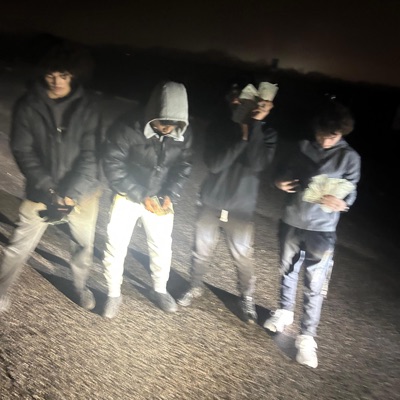 FreeBeez - Single