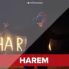 Young Zerka - Harem