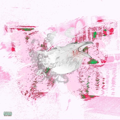 VULTURE MUZIK V1 - Single