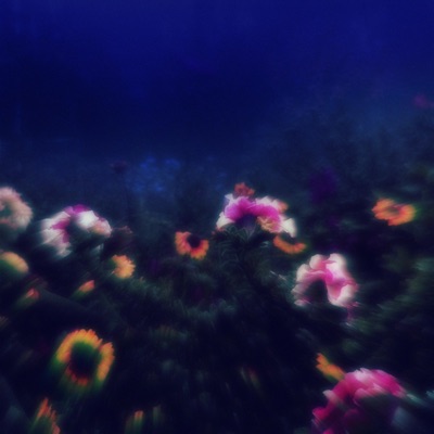 a moment that will be a lifetime in my memory (feat. never) - Single