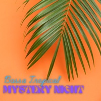 Mystery Night - Single - Bossa Tropical