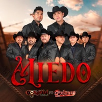 Miedo - Single - Comunidad Musical