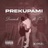 Prekupami (feat. QN)