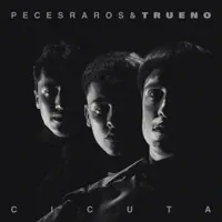 Cicuta — Peces Raros