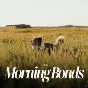 Morning Bonds