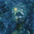 Tidal Lock