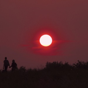 Hold On Me (feat. Carter Cook) - Single