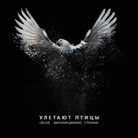 Улетают птицы - Single - Vika Dayneko, ORLOVE & СТРЕЛКИН