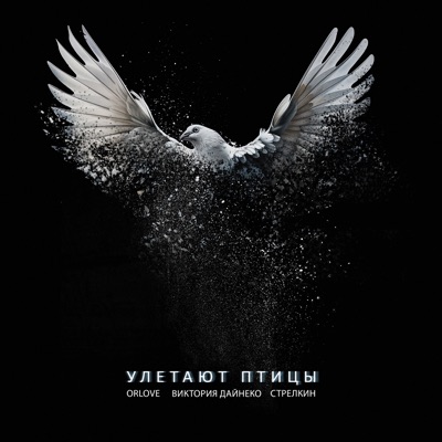 Улетают птицы - Single