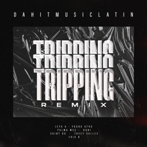 Tripping (feat. Mazze & Jheey Valles & Trix Rimas & Dani & Palma MSC & Saint OG) [Remix]