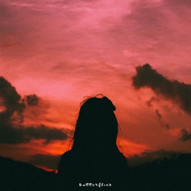 Butterflies Slowheal