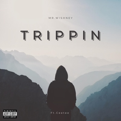 Trippin (feat. CeeTee) - Single