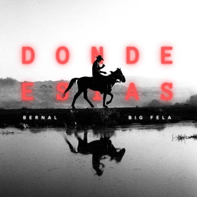 DONDE ESTAS (feat. Big Fela) - Single