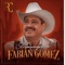 Vidrios Rotos, Rumbos Diferentes - Fabian Gomez & Roy Rosas lyrics