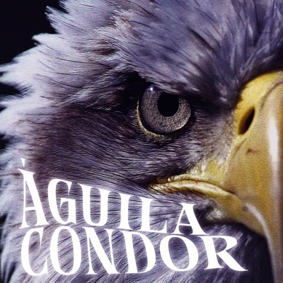 Águila Condor - Single
