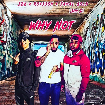 Why Not (feat. SBK & Jamal Gold) - Single