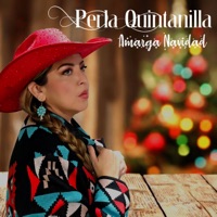 Amarga Navidad - Single - Perla Quintanilla