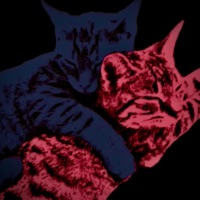 Mamacita - Single - Y2Rio$ & JUAN THE FATHER