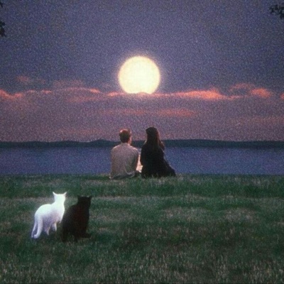 lost you (feat. humail) - Single