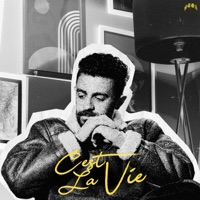 C'est la vie (feat. Scratch) - Single - Mega