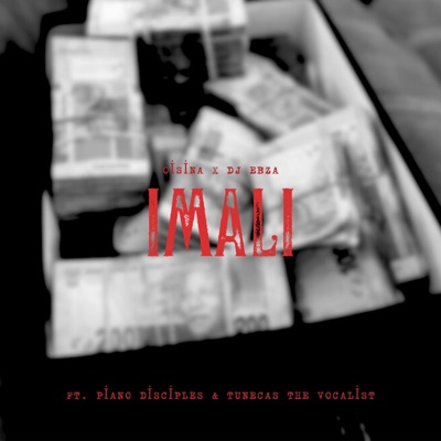 Imali (feat. DJ Ebza, PianoDisciples & Tunecas The Vocalist) - Single