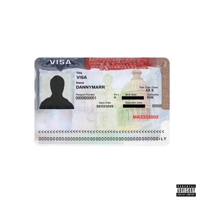 VISA - Single