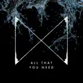 ALL THAT YOU NEED