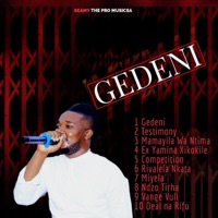 GEDENI - SEAMY THE PRO