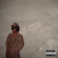 moodmusic - Single - Lothario