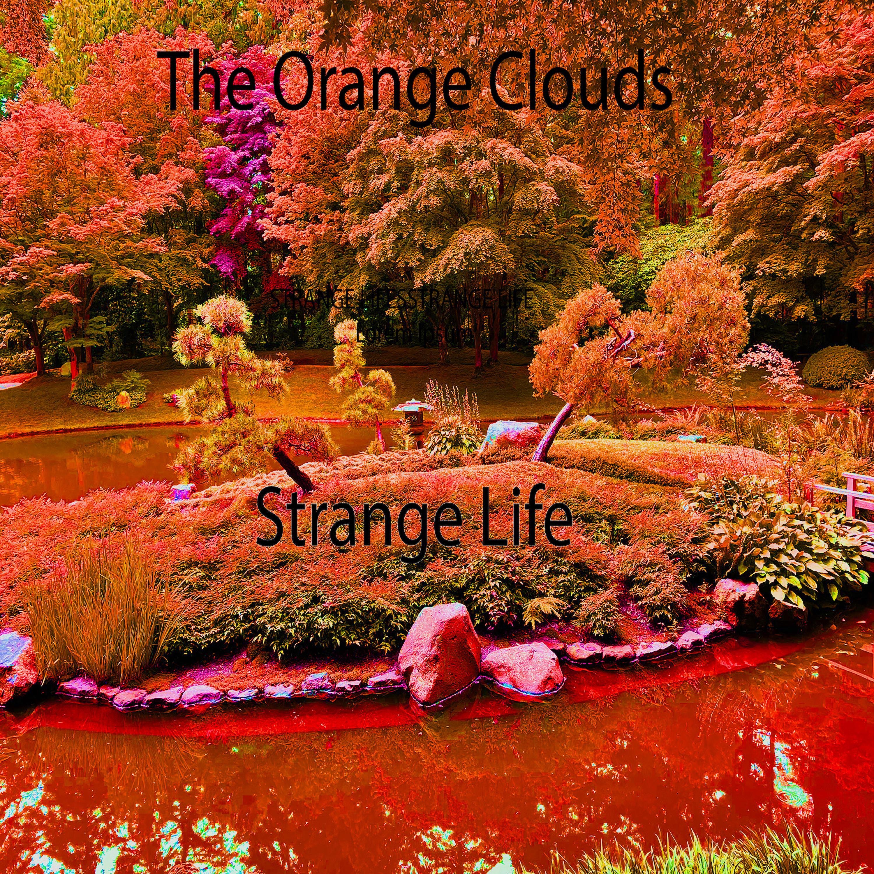 Strange Life - Single