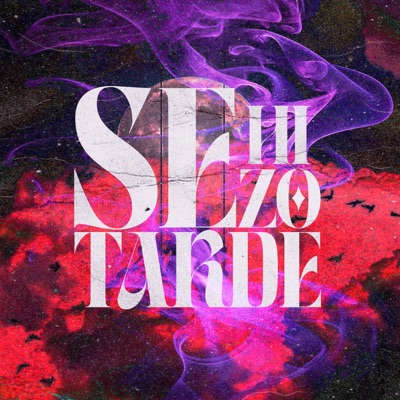 Se Hizo Tarde - Single