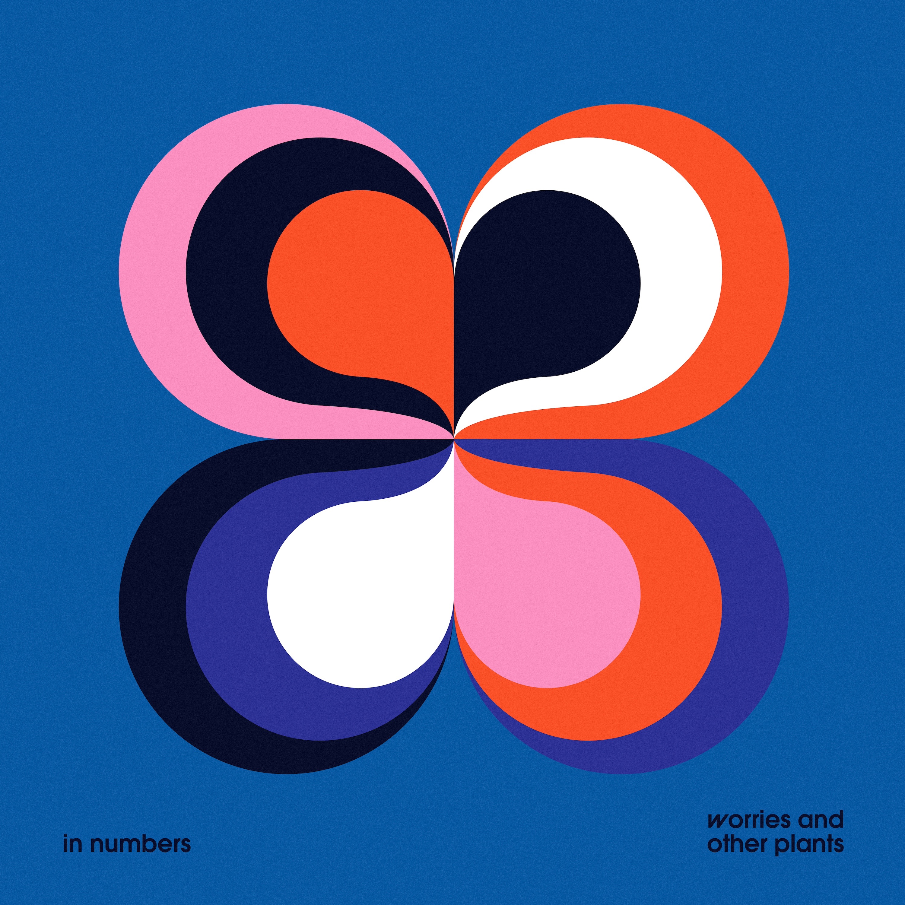 In Numbers - Single