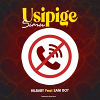 Usipige simu (feat. Sani boy) - Single - Hilbaby