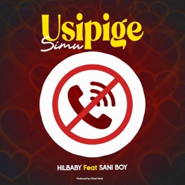 Usipige simu (feat. Sani boy) Hilbaby