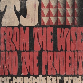 From the Wise & the Prudent (feat. TJ) Mr. Woodwicker