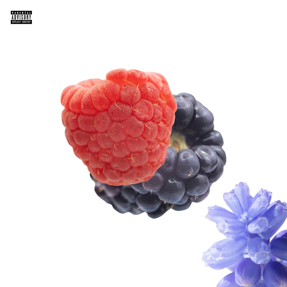 Обложка альбома «Edible Arrangements - Single» — Spell Jordan & SLVG