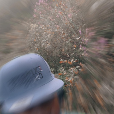 Dr. Geniu$ (slowed & reverb) - Single