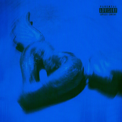 DEL AMOR AL PERREO - EP